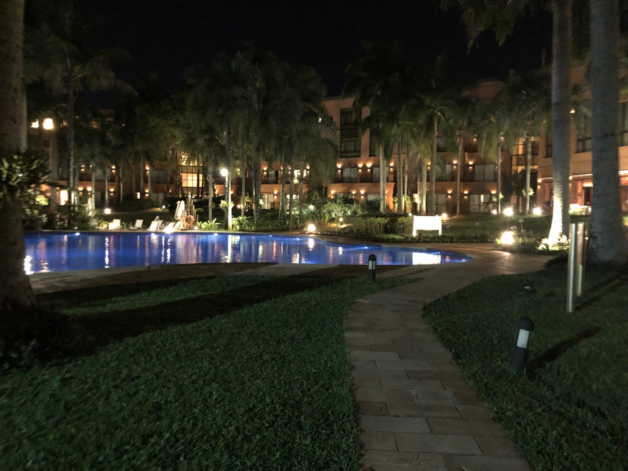 a pool with lights and palm trees in the background