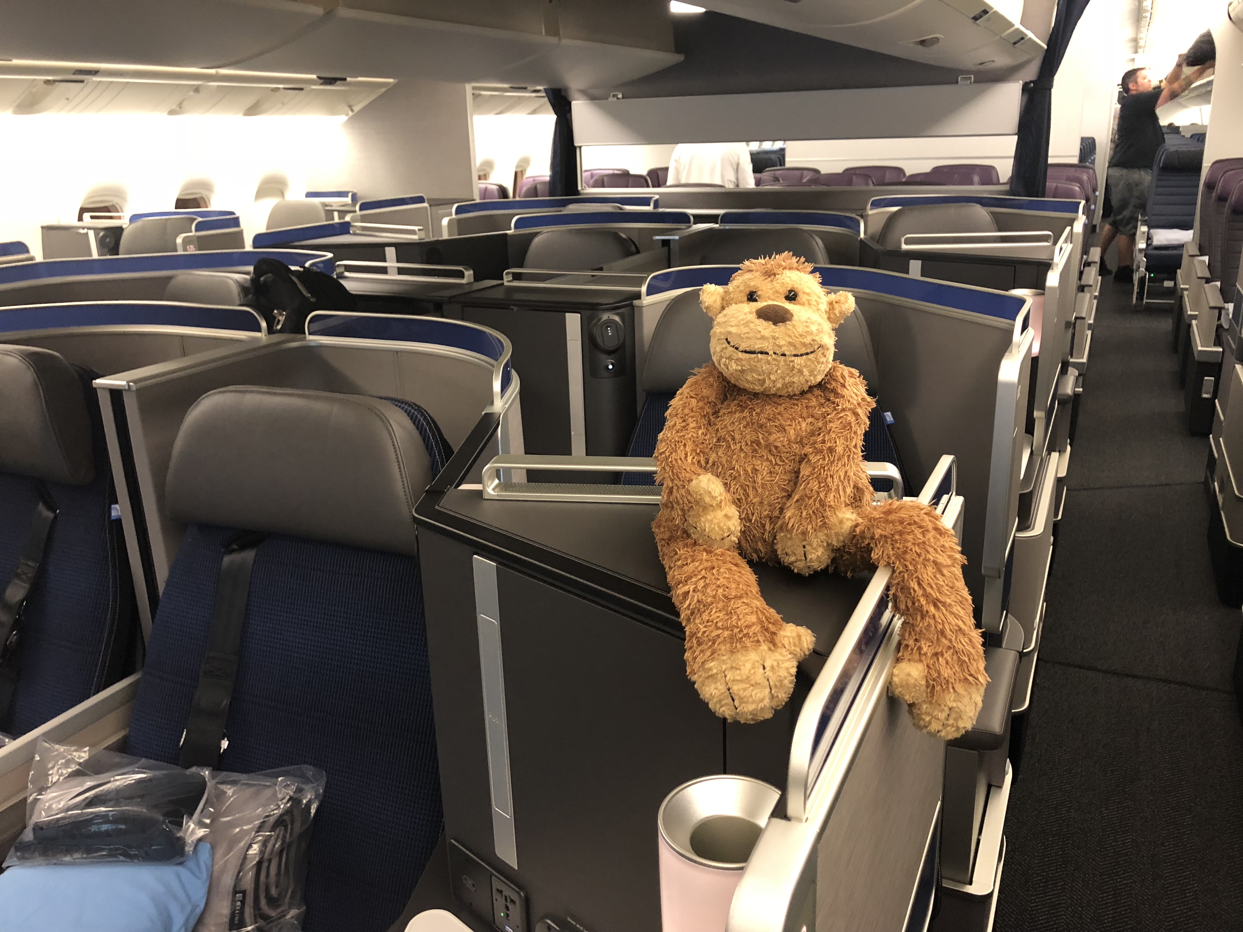 a stuffed animal on an airplane seat