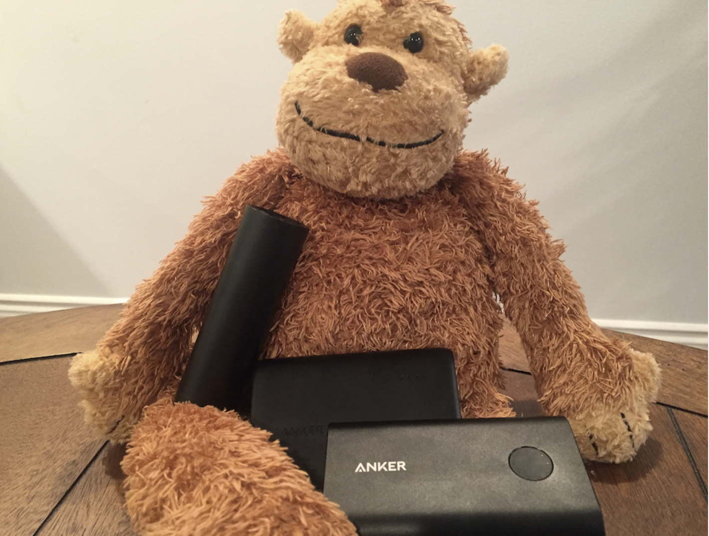 a stuffed animal with a battery