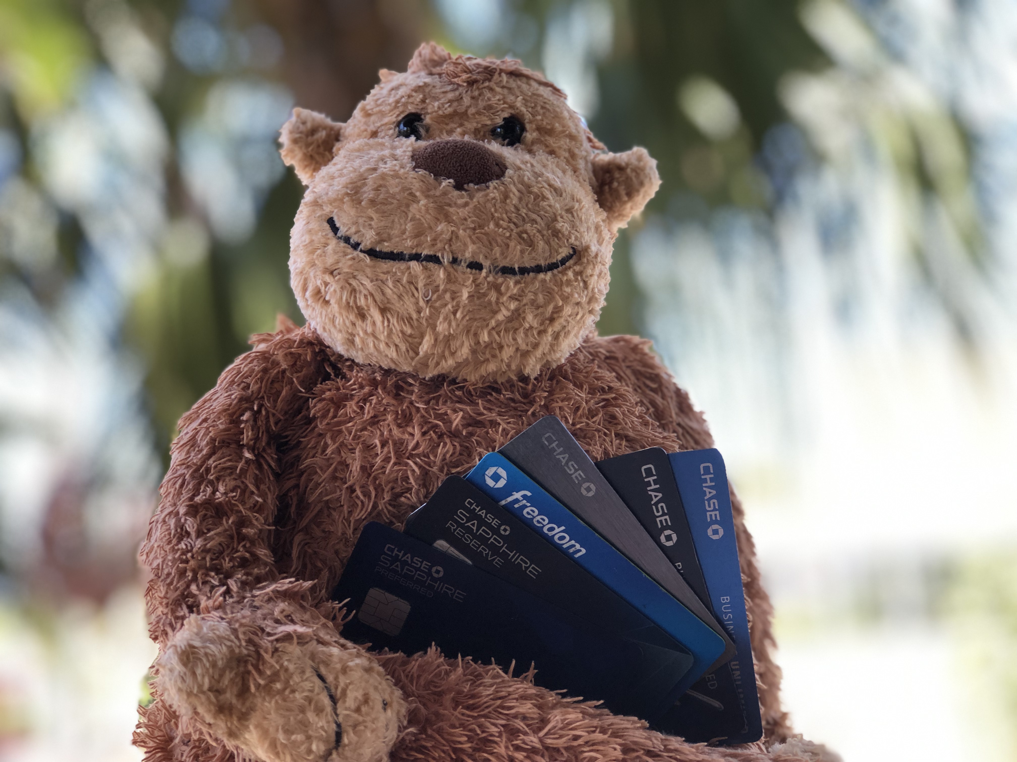 a stuffed monkey holding credit cards