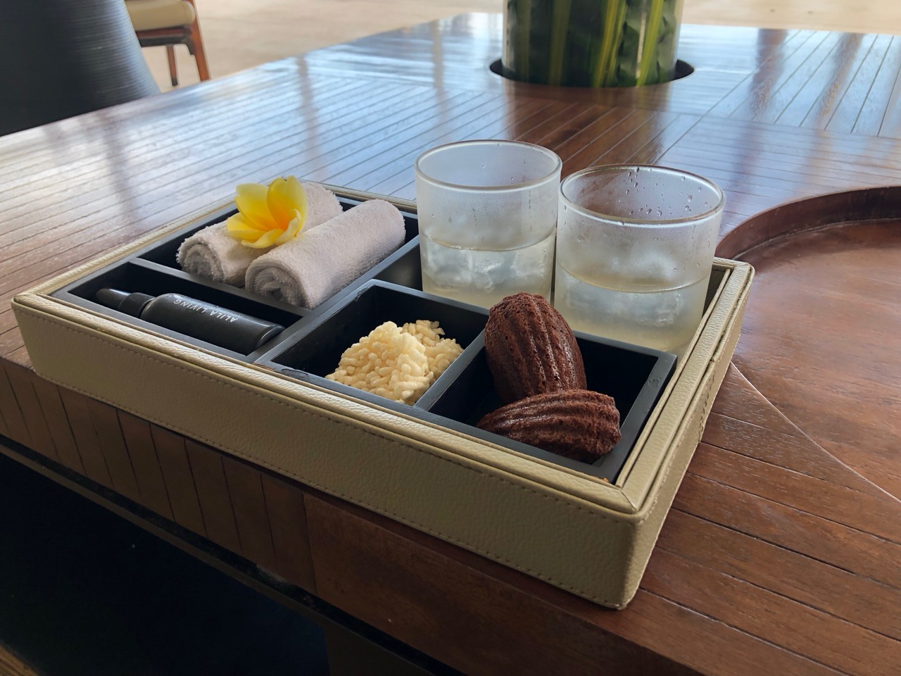 a tray with objects in it