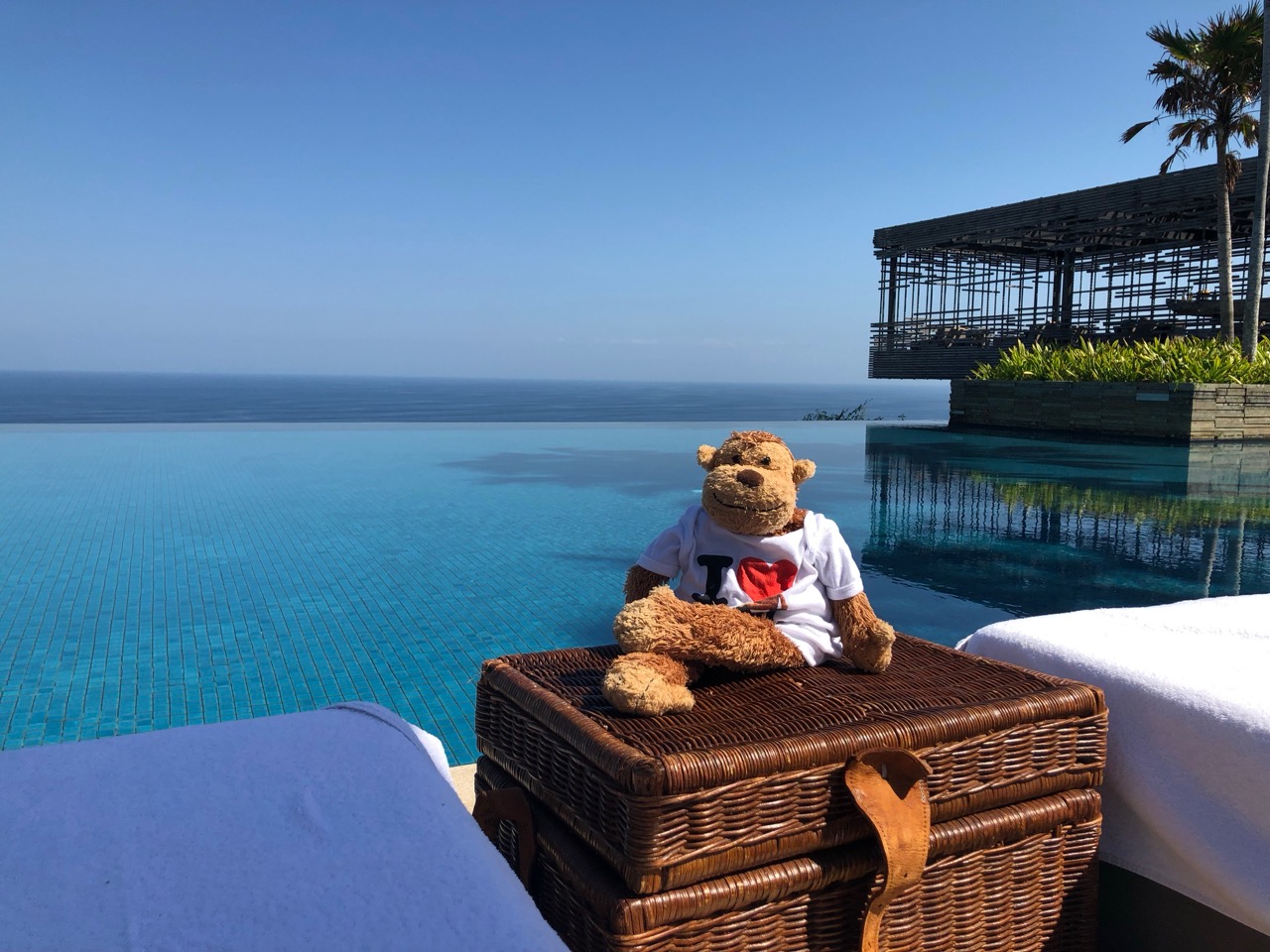 a teddy bear on a wicker basket next to a pool