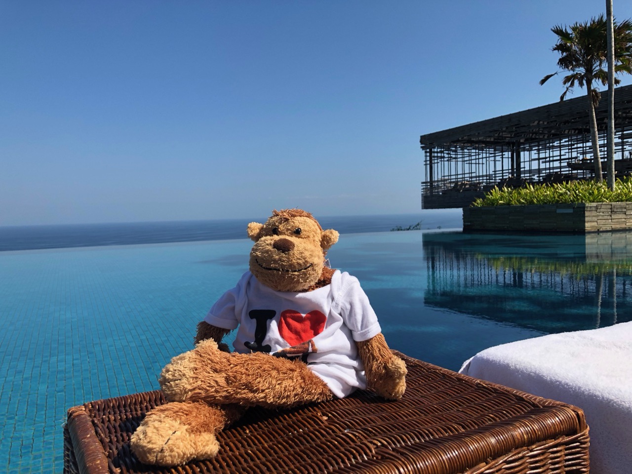 a stuffed animal sitting on a chair by a pool
