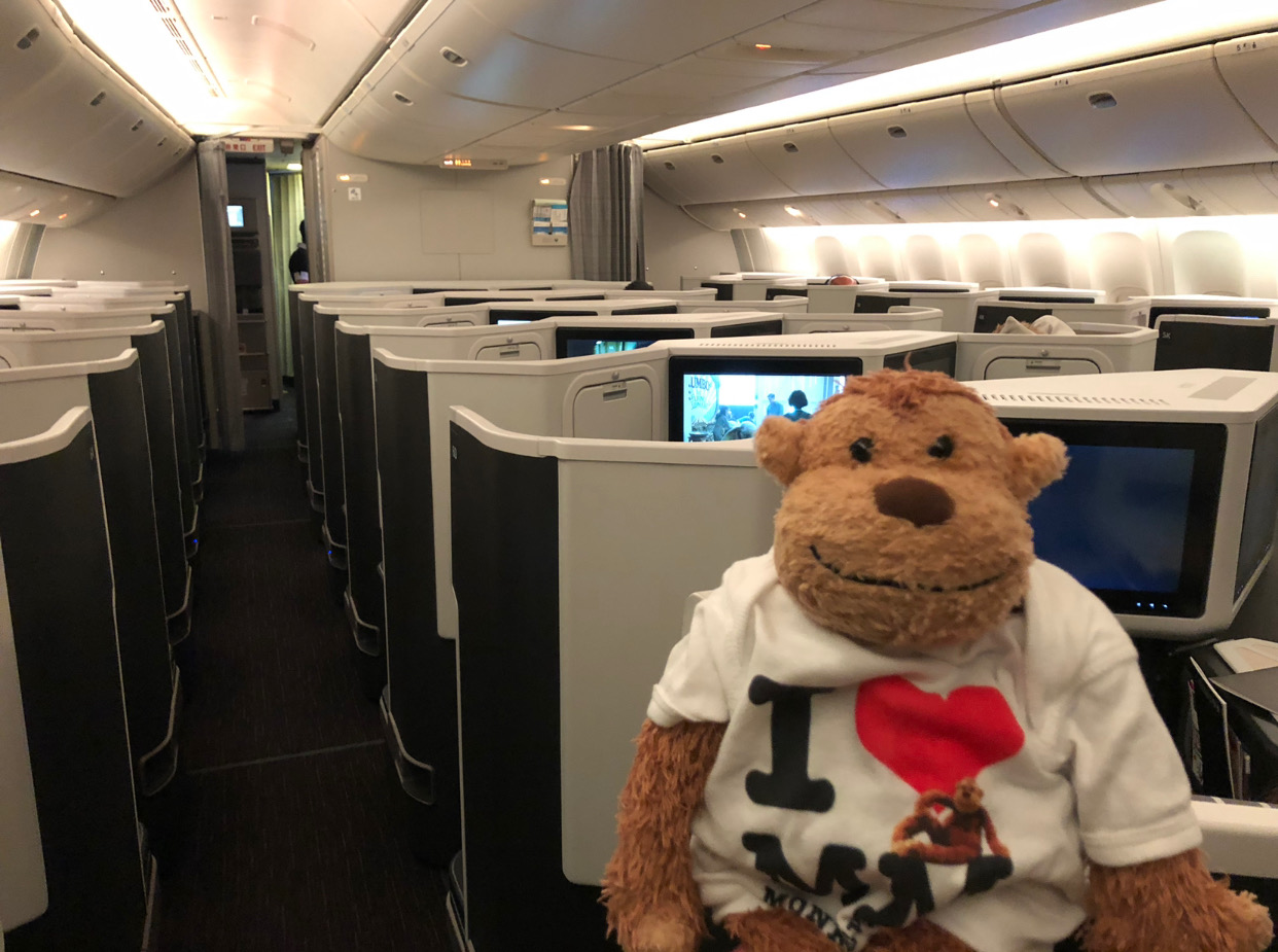 a stuffed animal in a white shirt on an airplane