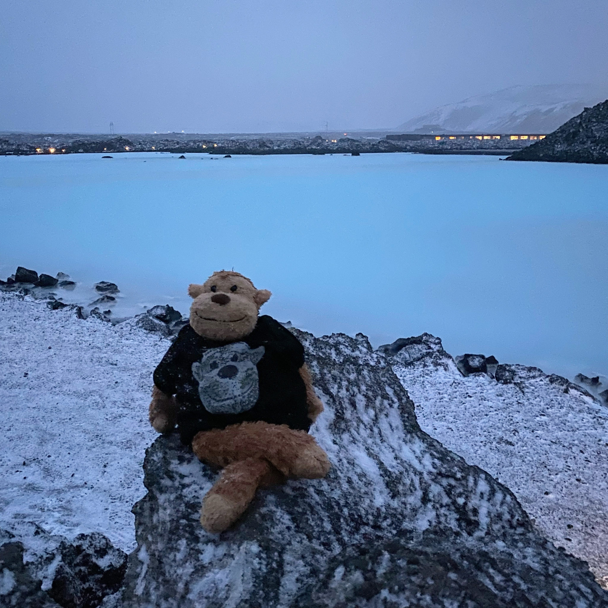 a stuffed animal on a rock