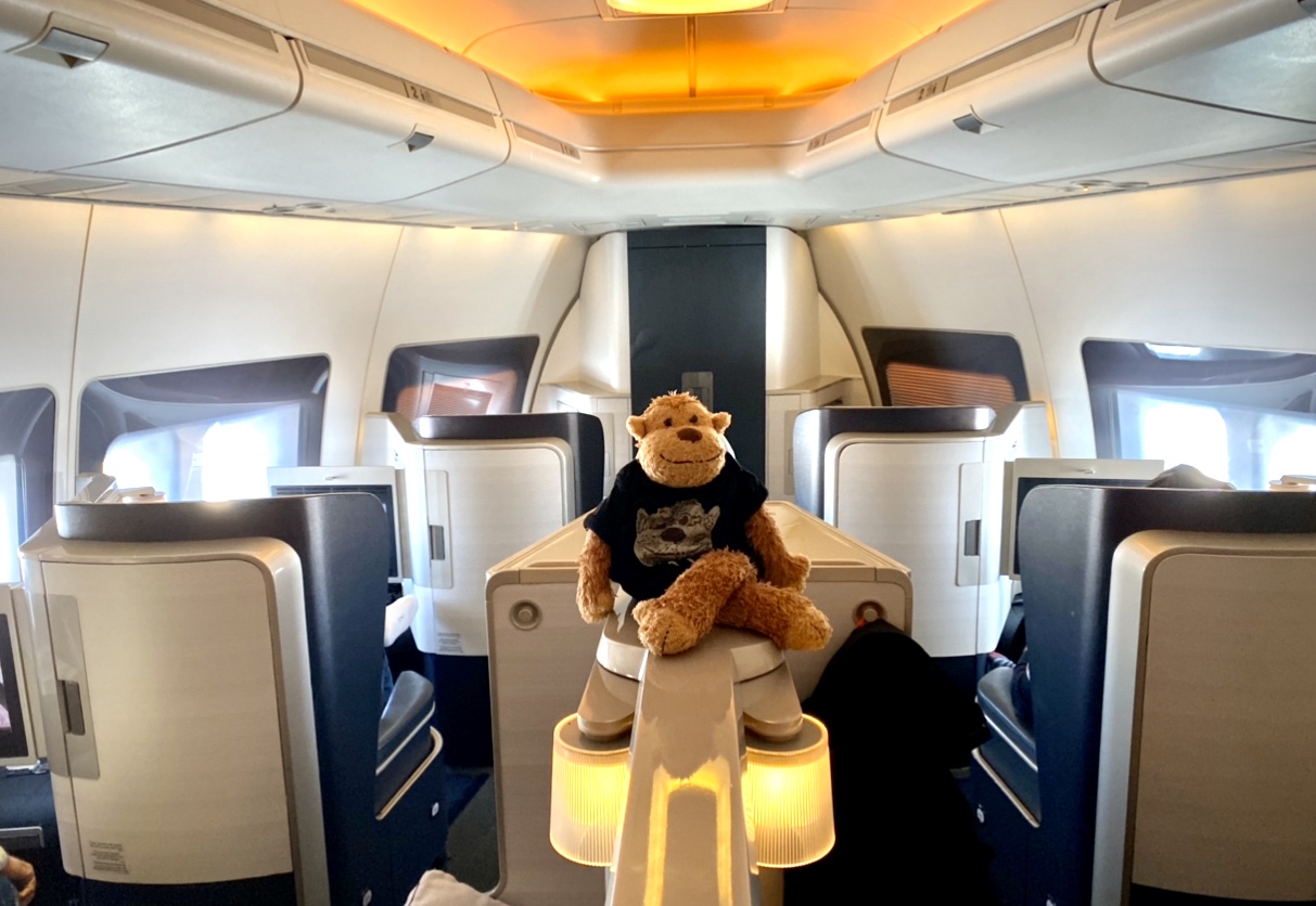 a stuffed animal on a seat in an airplane