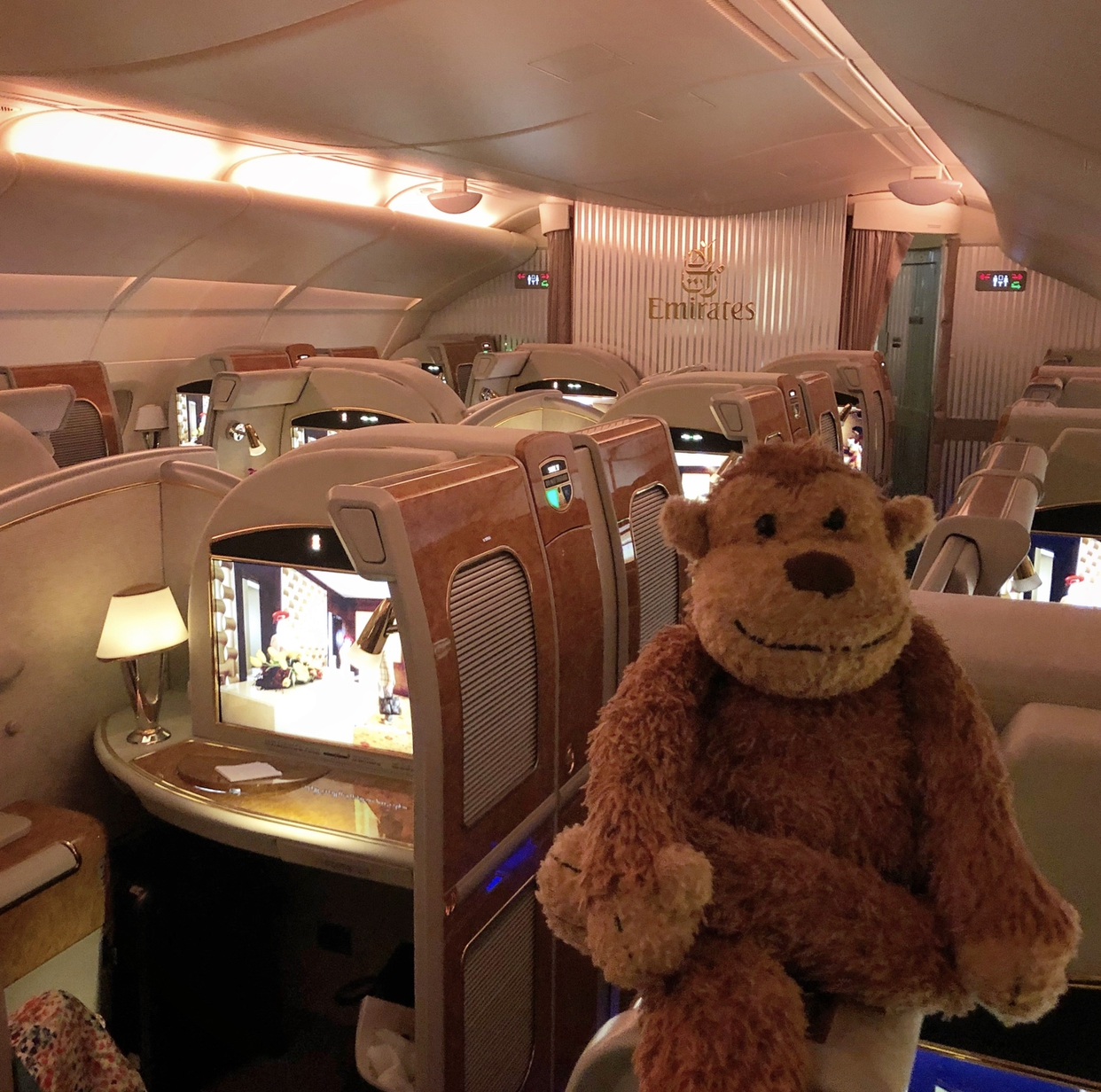 a stuffed animal on a plane