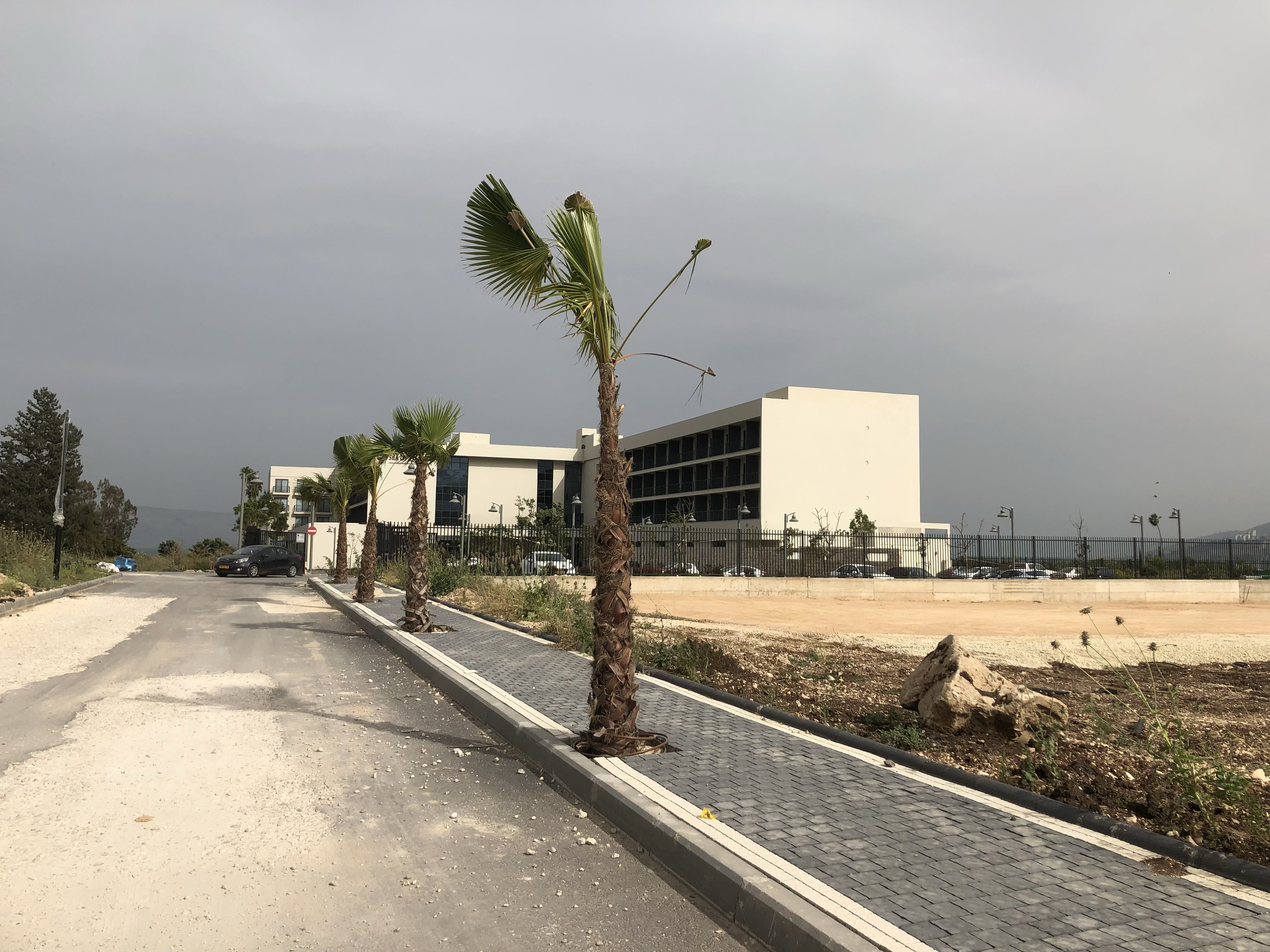 a road with palm trees and a building