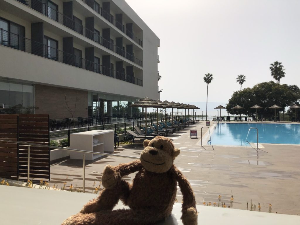 a stuffed animal by a pool