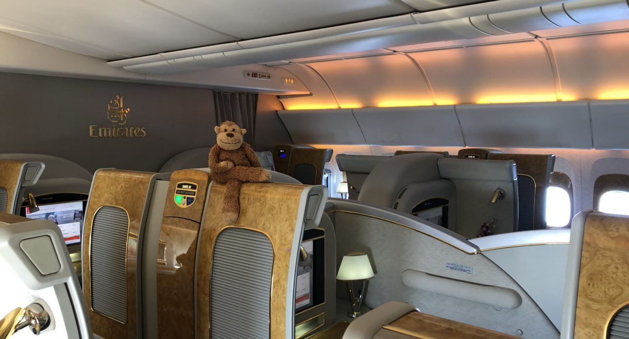 a stuffed animal on the seat of an airplane