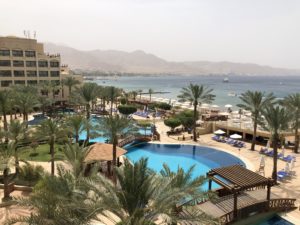 a swimming pool with palm trees and a beach