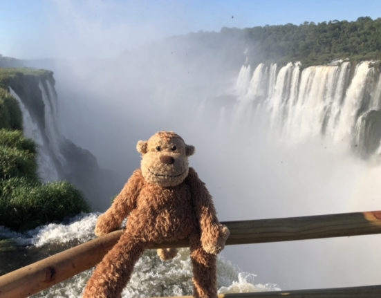a stuffed animal sitting on a railing overlooking a waterfall