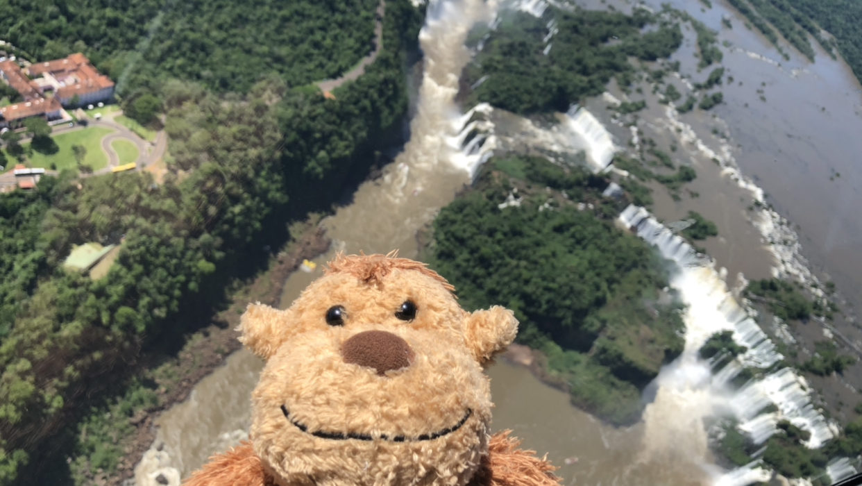 a stuffed animal looking at a waterfall