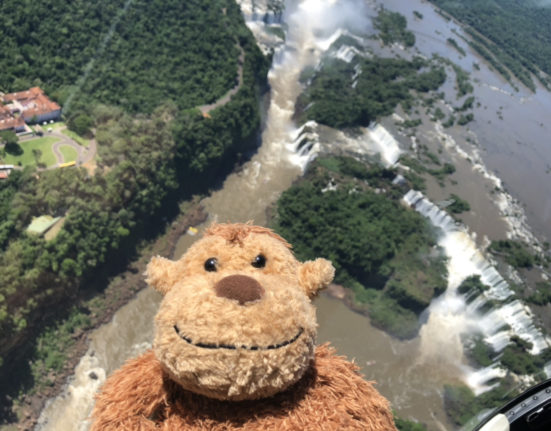 a stuffed animal looking at a waterfall
