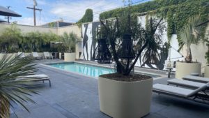 a planter with a tree in it by a pool