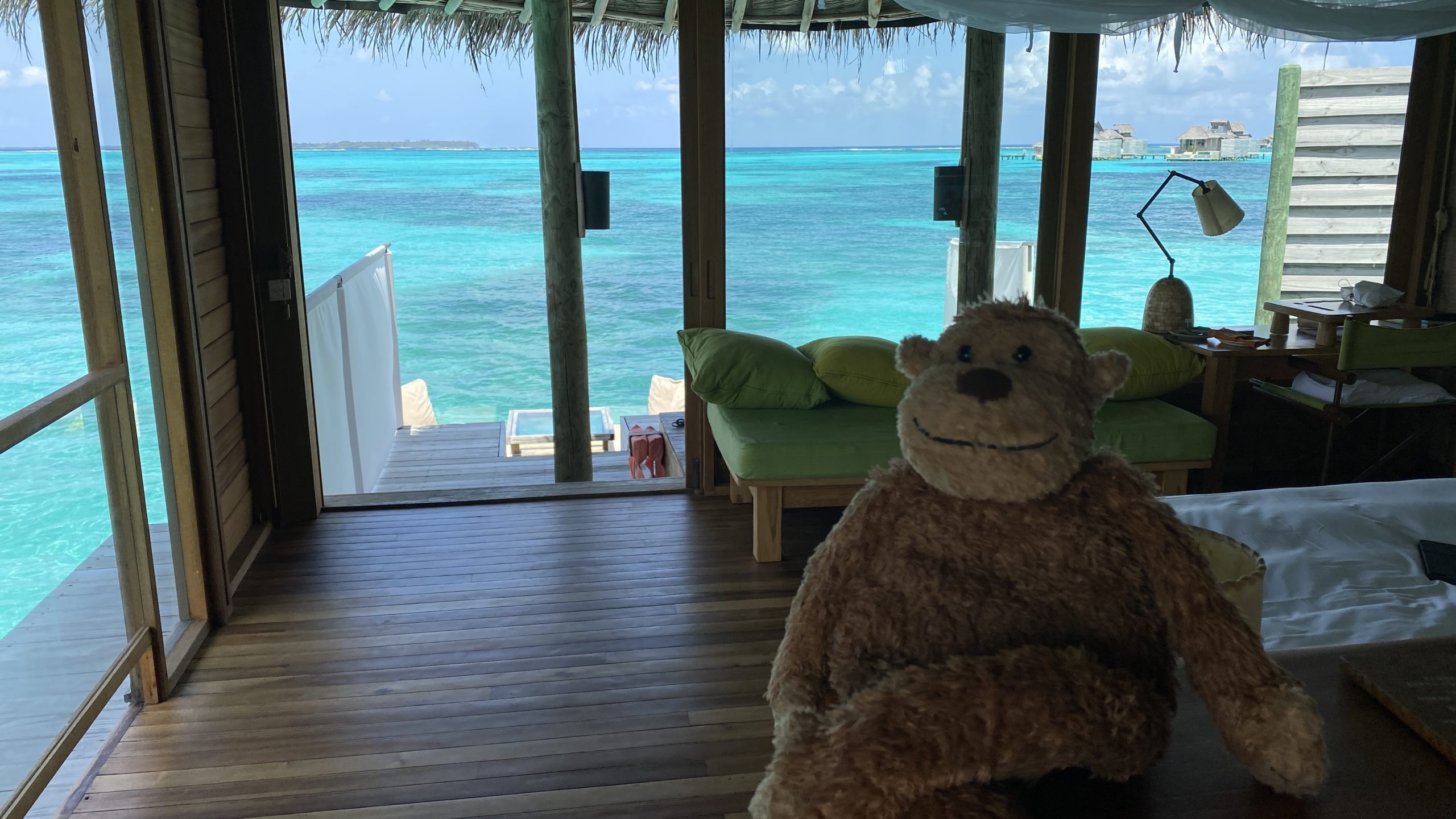 a stuffed animal sitting in a room with a view of the ocean
