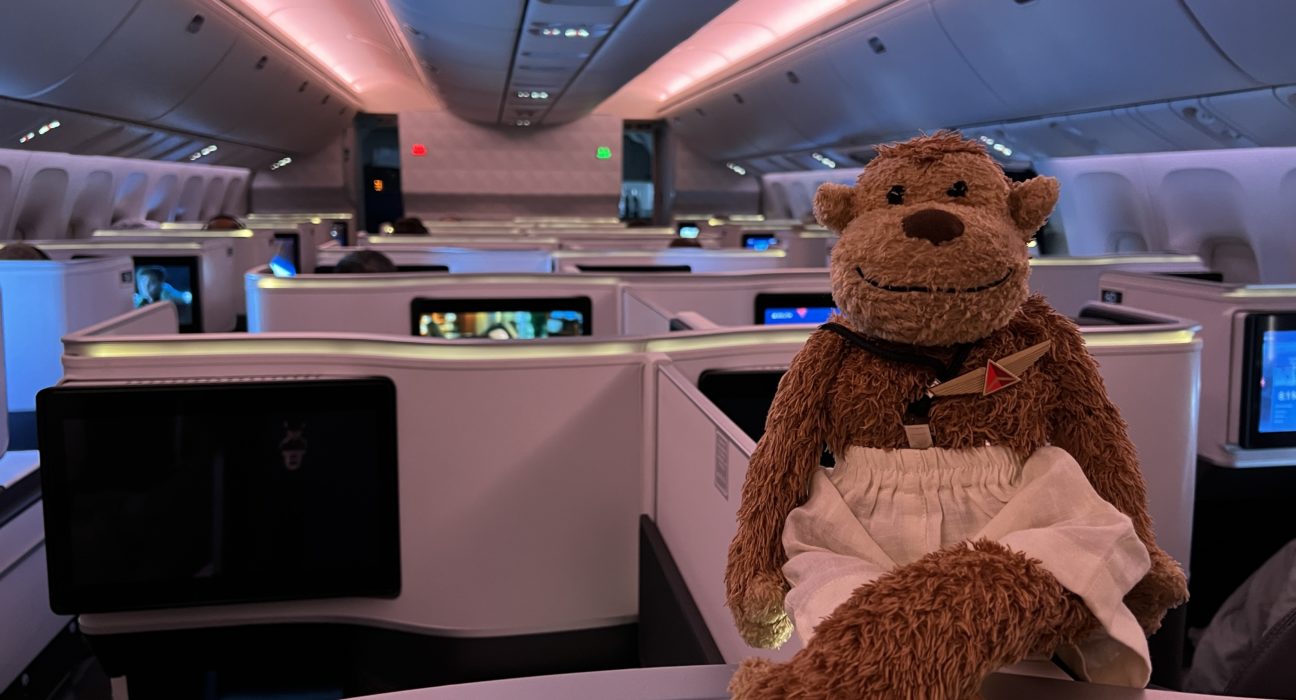 a stuffed animal in an airplane