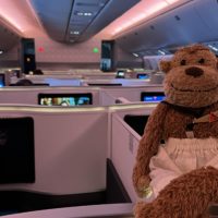 a stuffed animal in an airplane