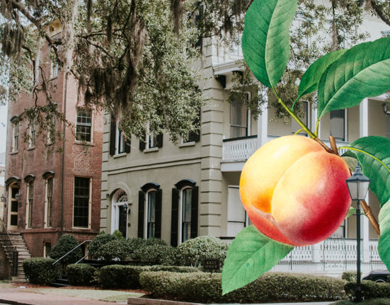 a peach on a branch with leaves and a house in the background