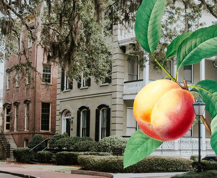 a peach on a branch with leaves and a house in the background
