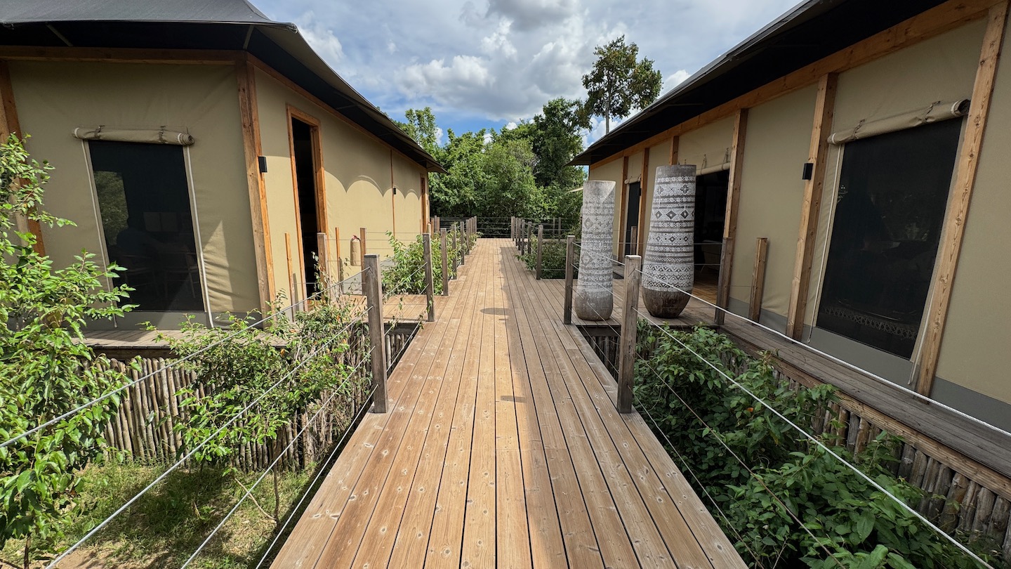 a wooden walkway with plants and trees
