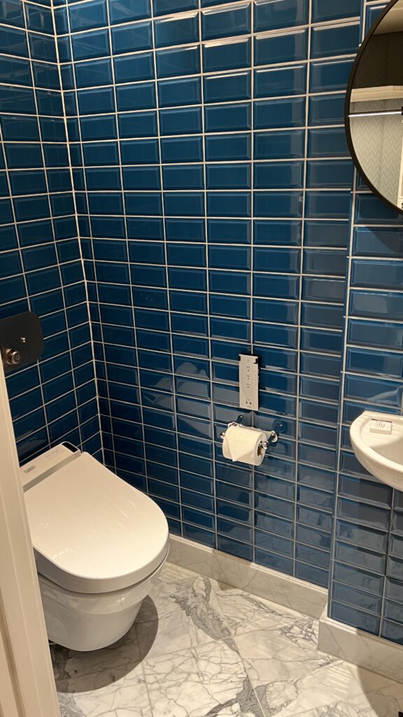 a bathroom with a toilet and sink